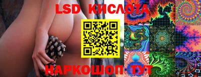 мяу мяу мука Усть-Илимск