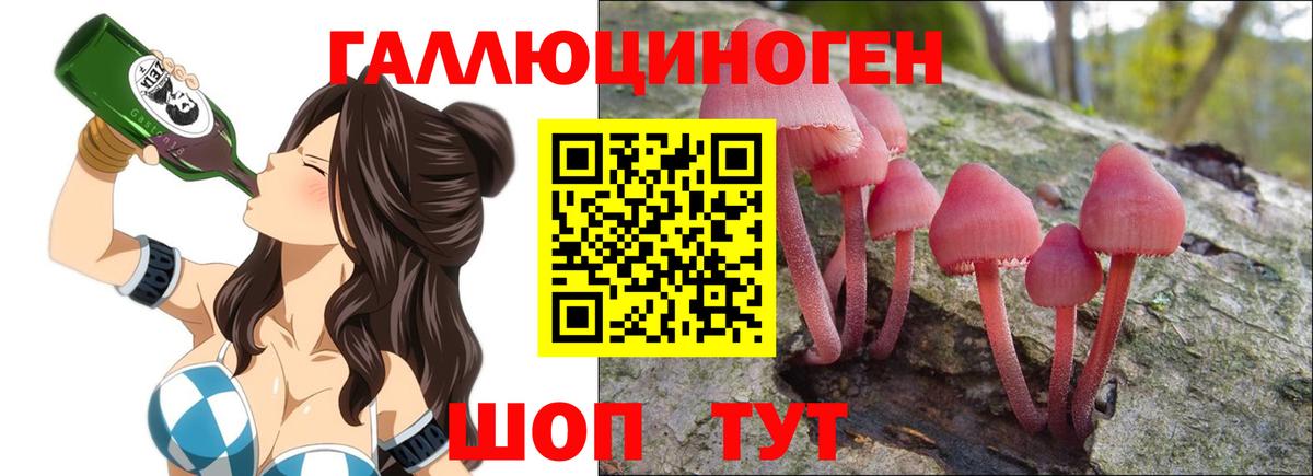 Псилоцибиновые грибы прущие грибы Анапа